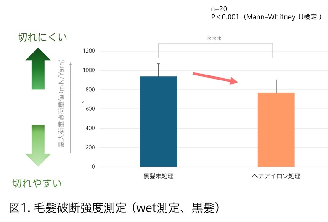 マンダム、レブリン酸による毛髪補修メカニズムを解明
