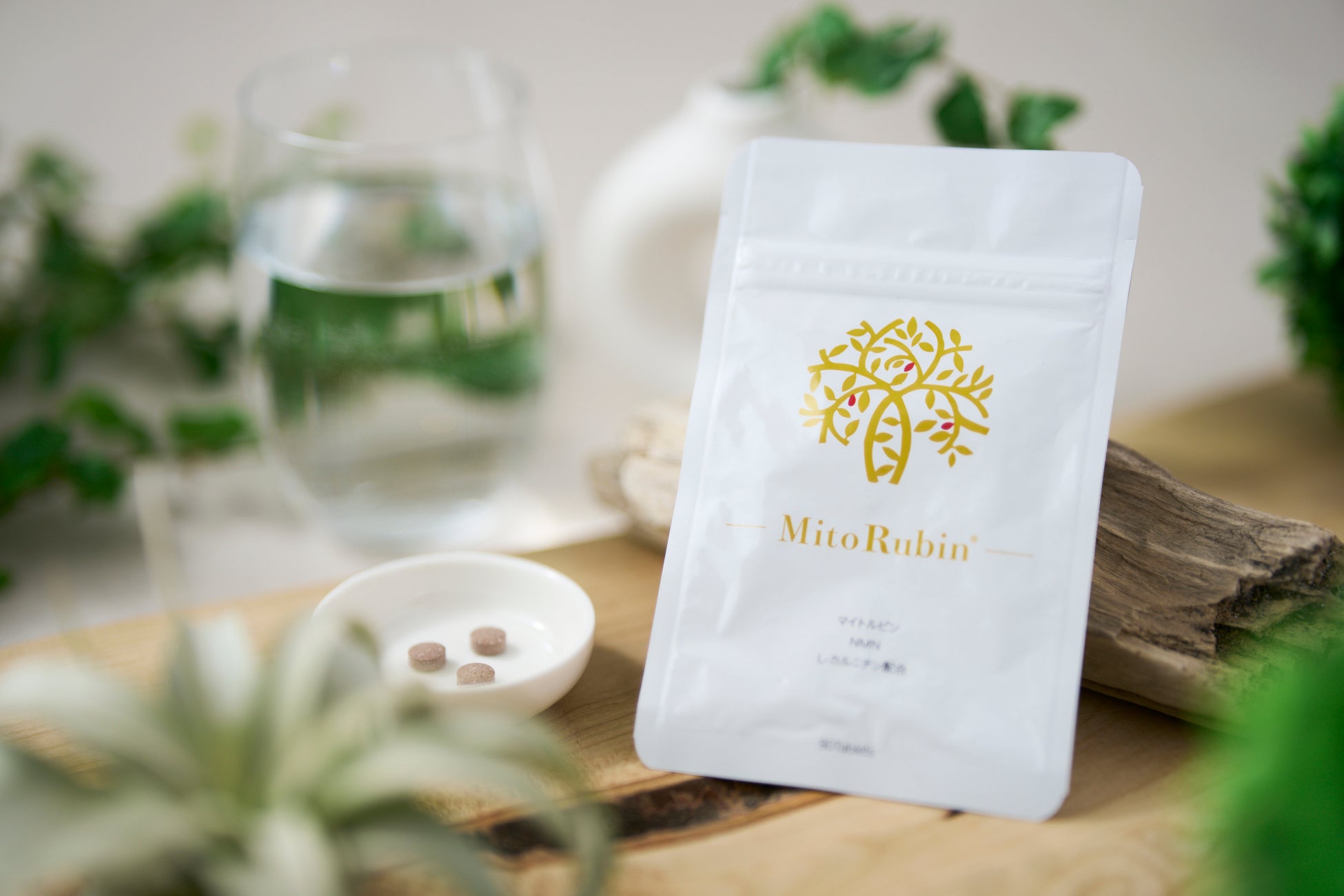 大阪から世界へ。「なぜ、日本に日本式マッサージがない?」疑問から1年、外国人95%殺到で年商1000万円突破