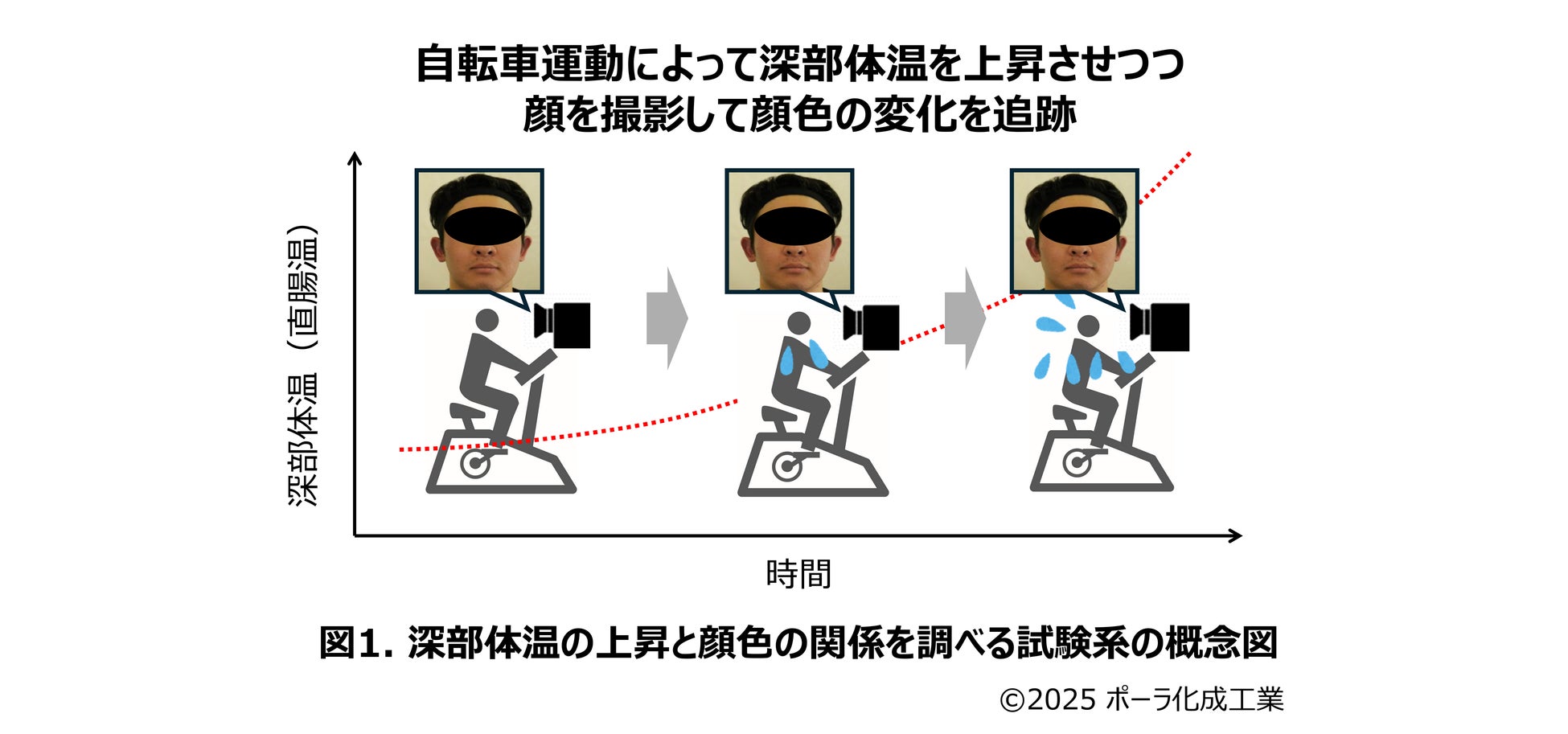 顔写真の色を用いて深部体温を推定できる可能性を発見