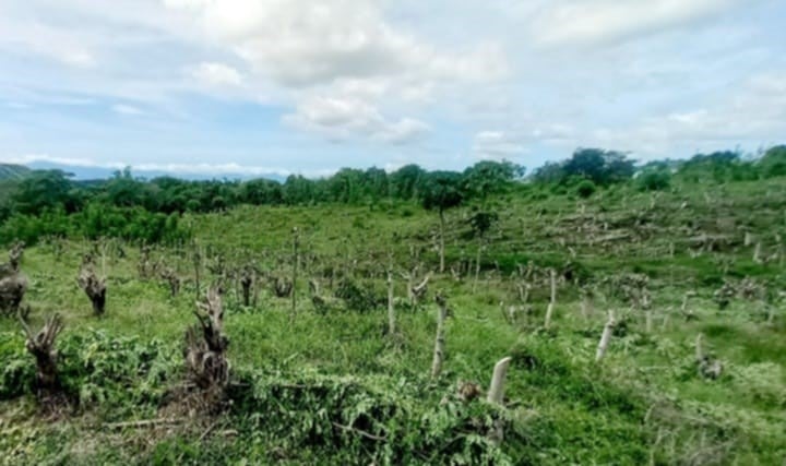 【HARIAS】薬用クッションファンデーションが2025年ベストコスメ3冠達成！感謝を込めてキャンペーンと新サービスを開始