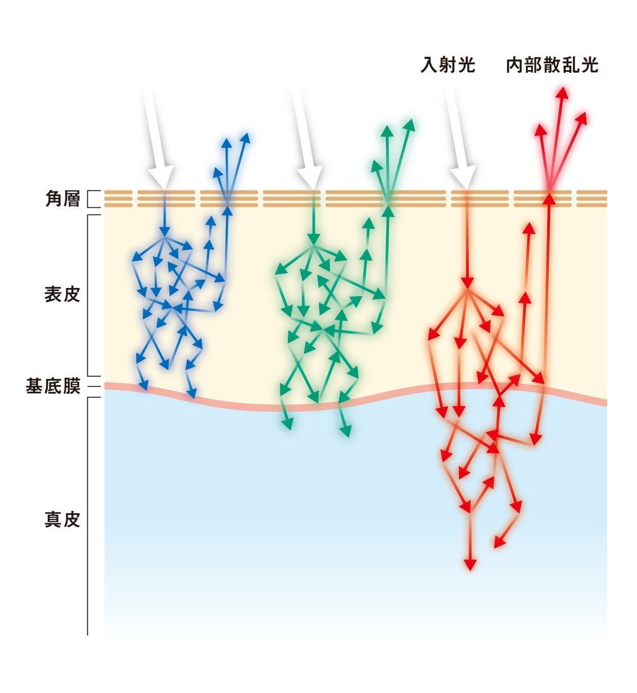 花王「THE ANSWER」が「2025年日経優秀製品・サービス賞 トレンド部門賞」受賞