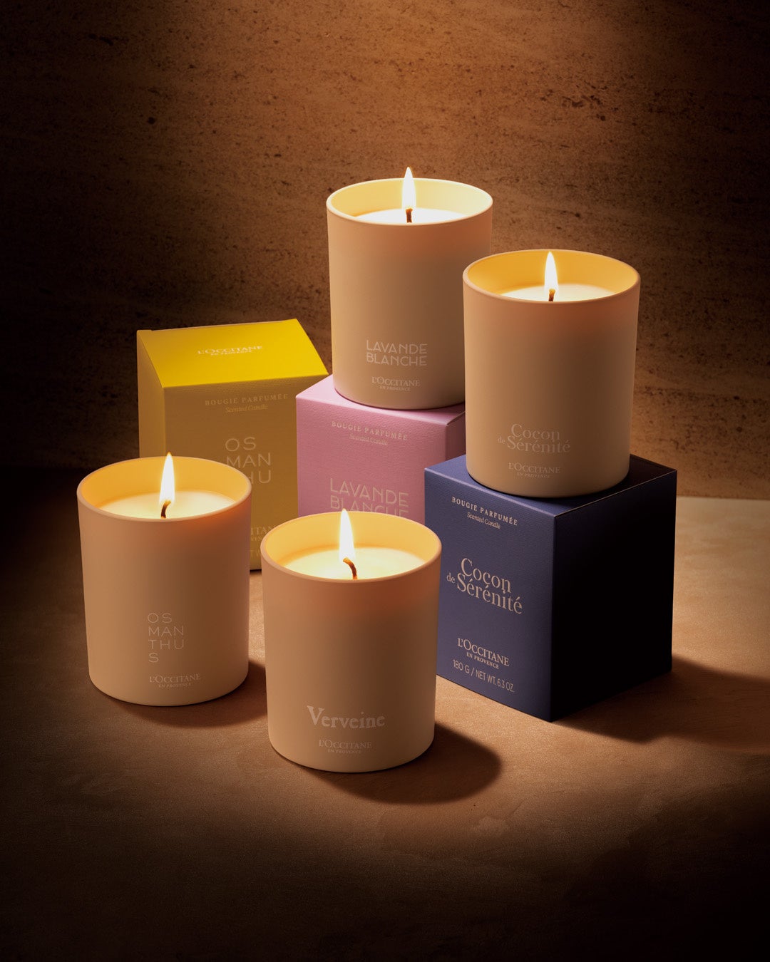 【健康診断データから考える】中性脂肪が高めな傾向のある方々の食習慣と日常活動の見直しを支える専門職連携プログラムを提供いたしました