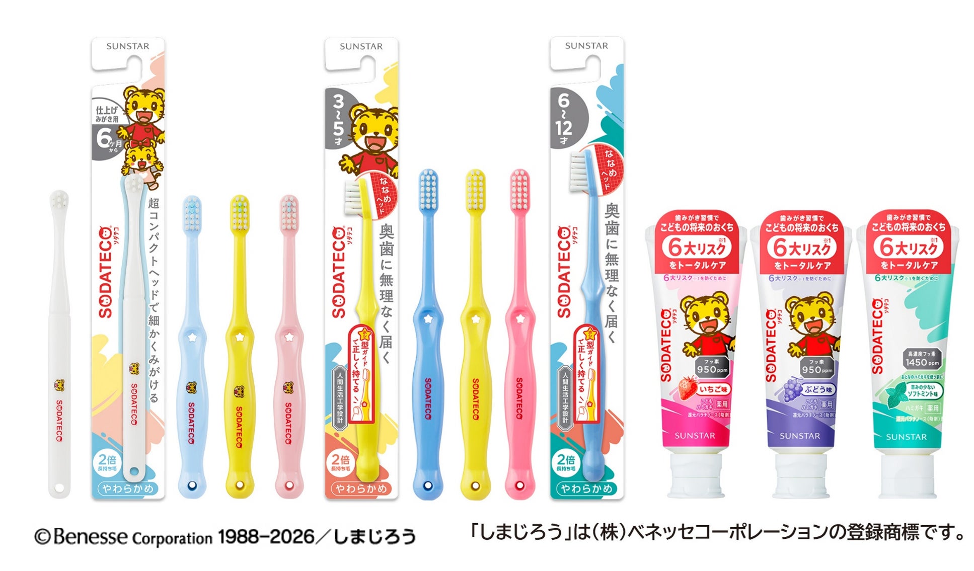 『努力の証を、美とアートとして残す』