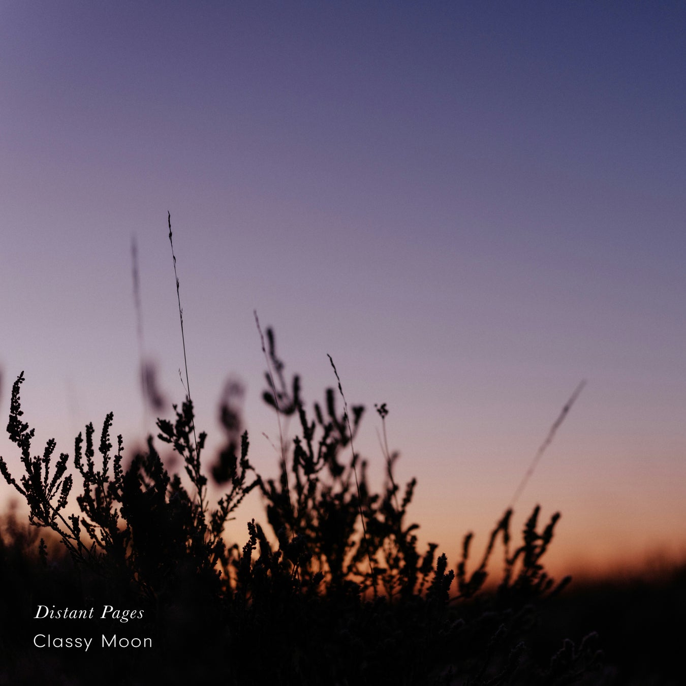 ピアノと自然音で穏やかな音の風景を描いたClassy Moonの最新アルバム。遠くに置かれた記憶のページをテーマにした『Distant Pages』、1月16日より各音楽配信サービスで配信開始。