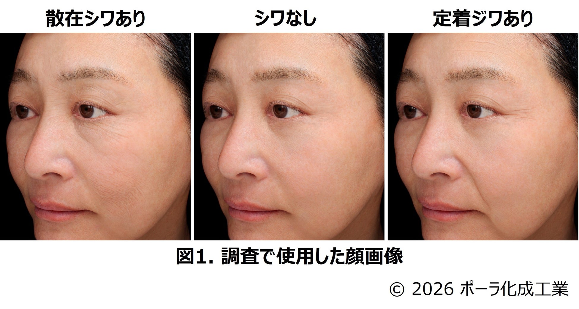 「散在シワ」と「定着ジワ」では肌やその人の印象に及ぼす影響が異なることを発見