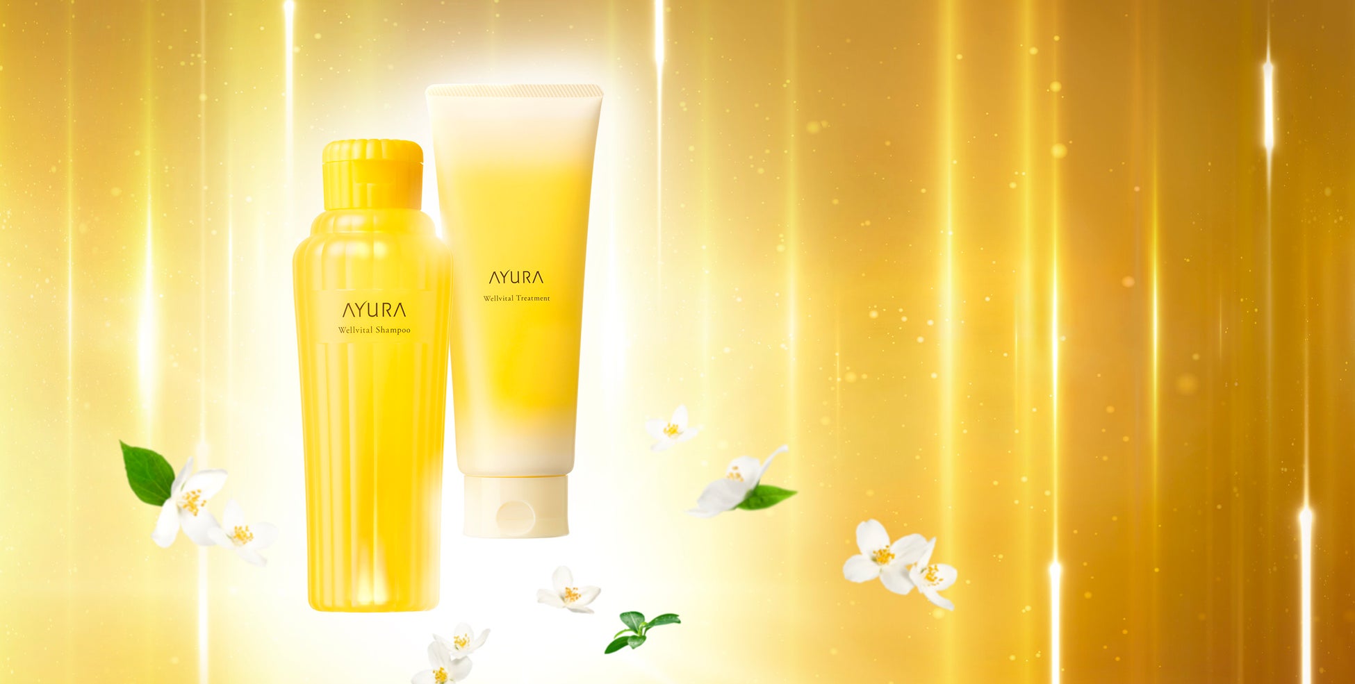 株式会社MAP ホールディングスの株式譲渡について