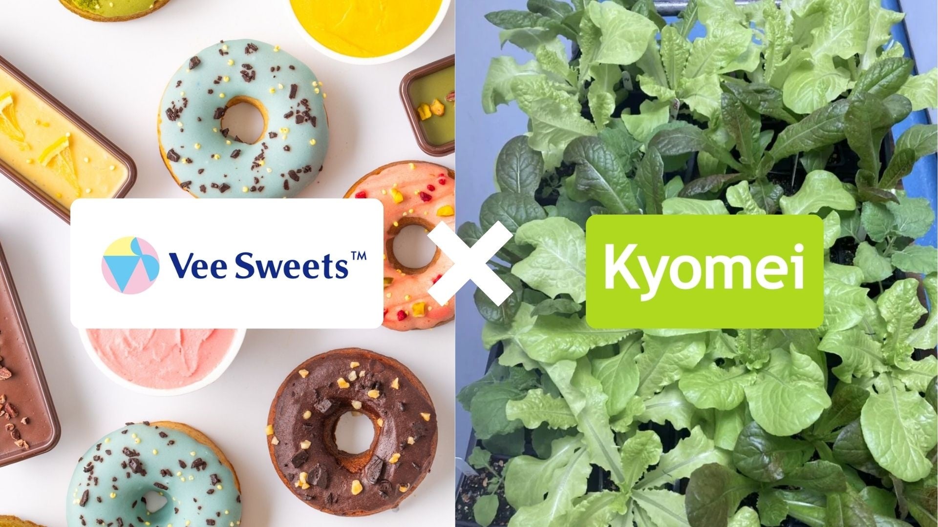【日英共同研究】プラントベーススイーツの「Vee Sweets」、英国バイオスタートアップ「Kyomei」と共同研究に向けた基本合意を締結