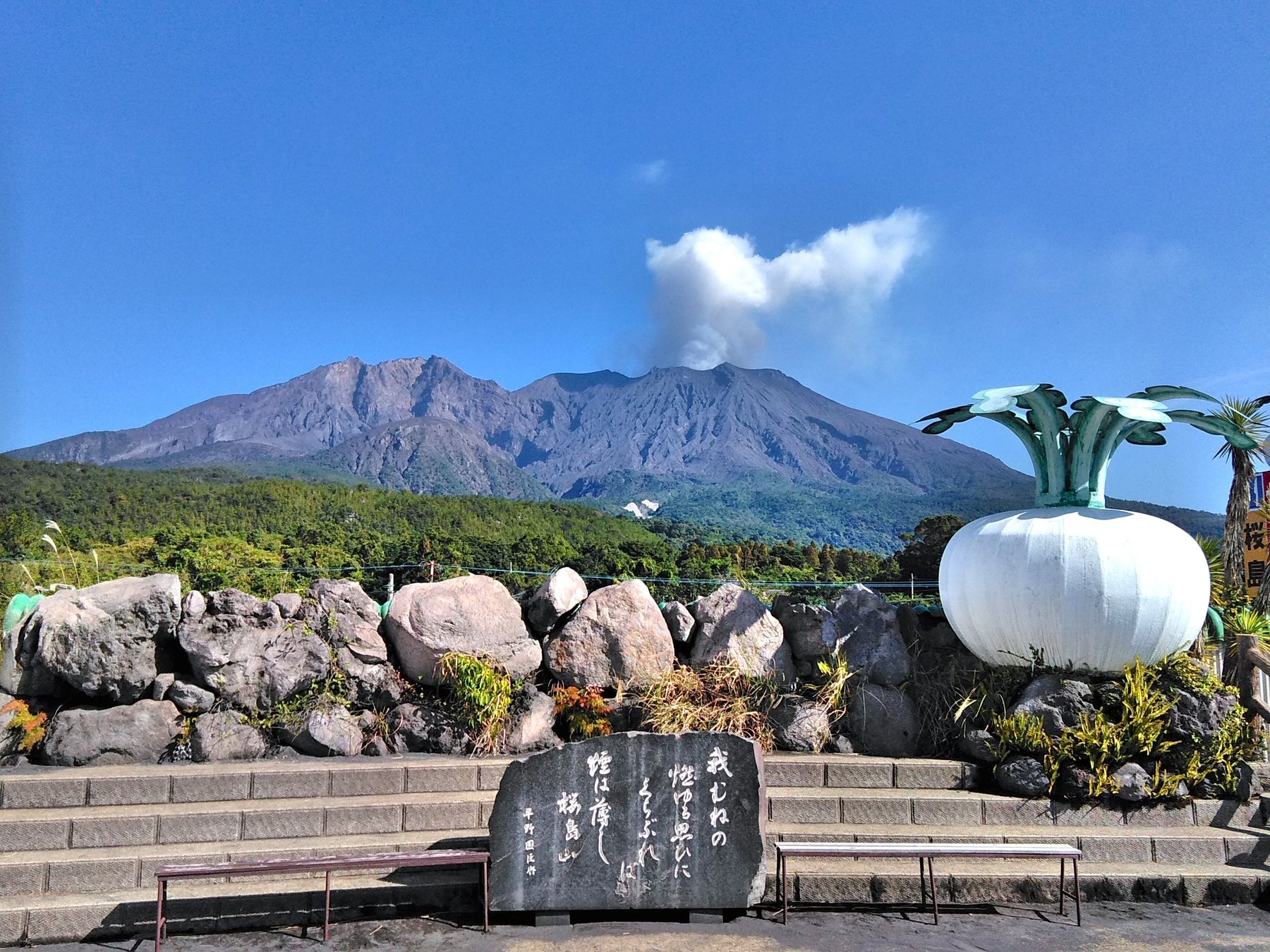 ＜九州産＞うなぎの骨＋＜鹿児島県産＞桜島大根を活用。日本初※の成分配合で「しなやかで、健やかな毎日」を応援