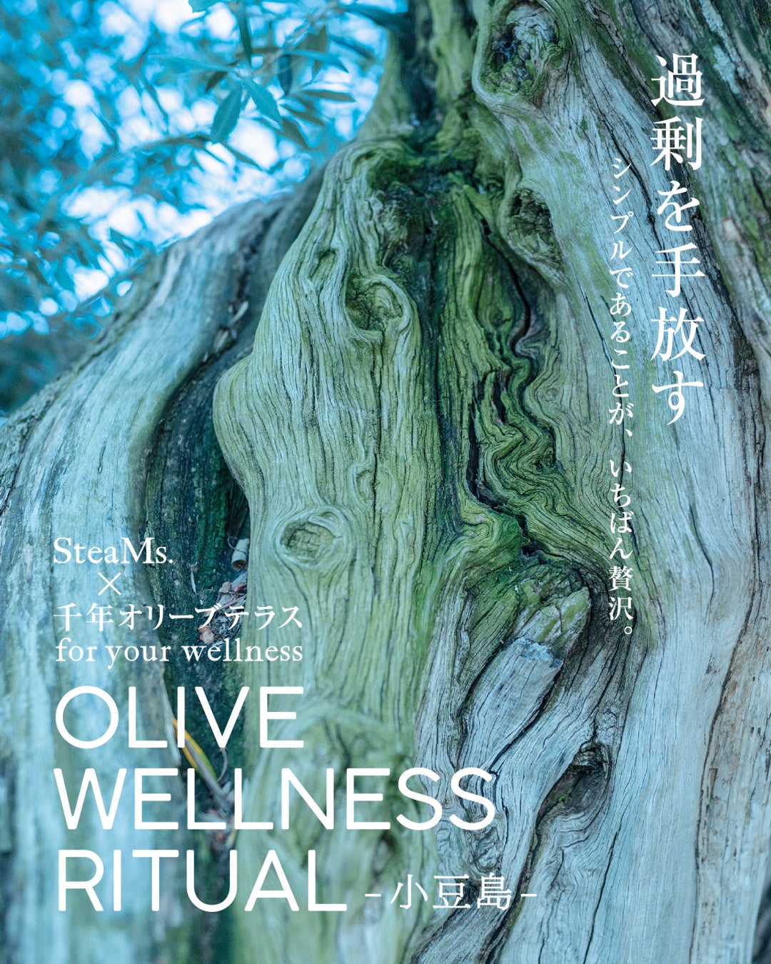 東京×小豆島、オリーブの恵みに満たされる美容ウェルネス体験「OLIVE WELLNESS RITUAL」を六本木で期間限定開催