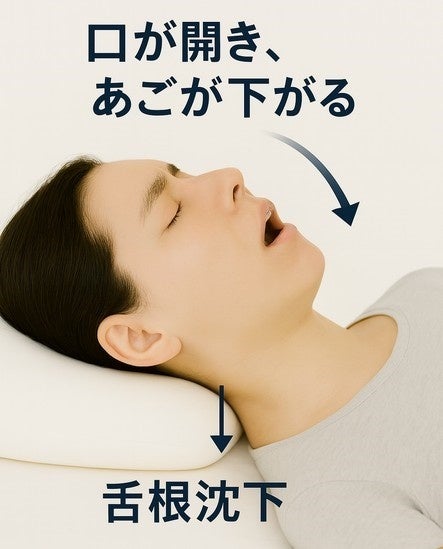 楽天ランキング「インナー・下着・ナイトウェア部門」＊で1位を獲得するトラタニが舌根沈下を防ぎ、呼吸を促す新特許枕構造を開発。―「睡眠障害の構造的原因に挑む」