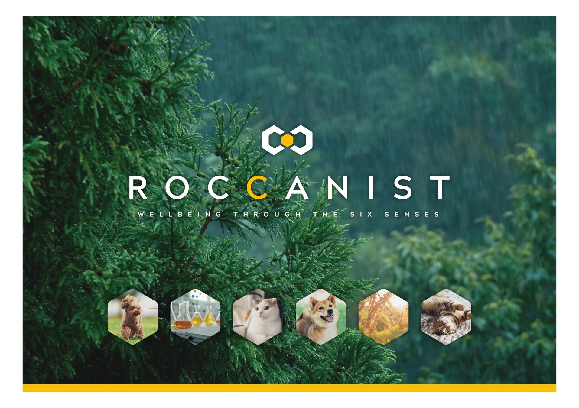 人用スキンケア成分「ライスパワー®エキス」の開発元がペット専用米由来発酵成分として初めて生み出した「ライスライフ®エキス」を配合。ウェルビーイングブランド「ROCCANIST®」誕生