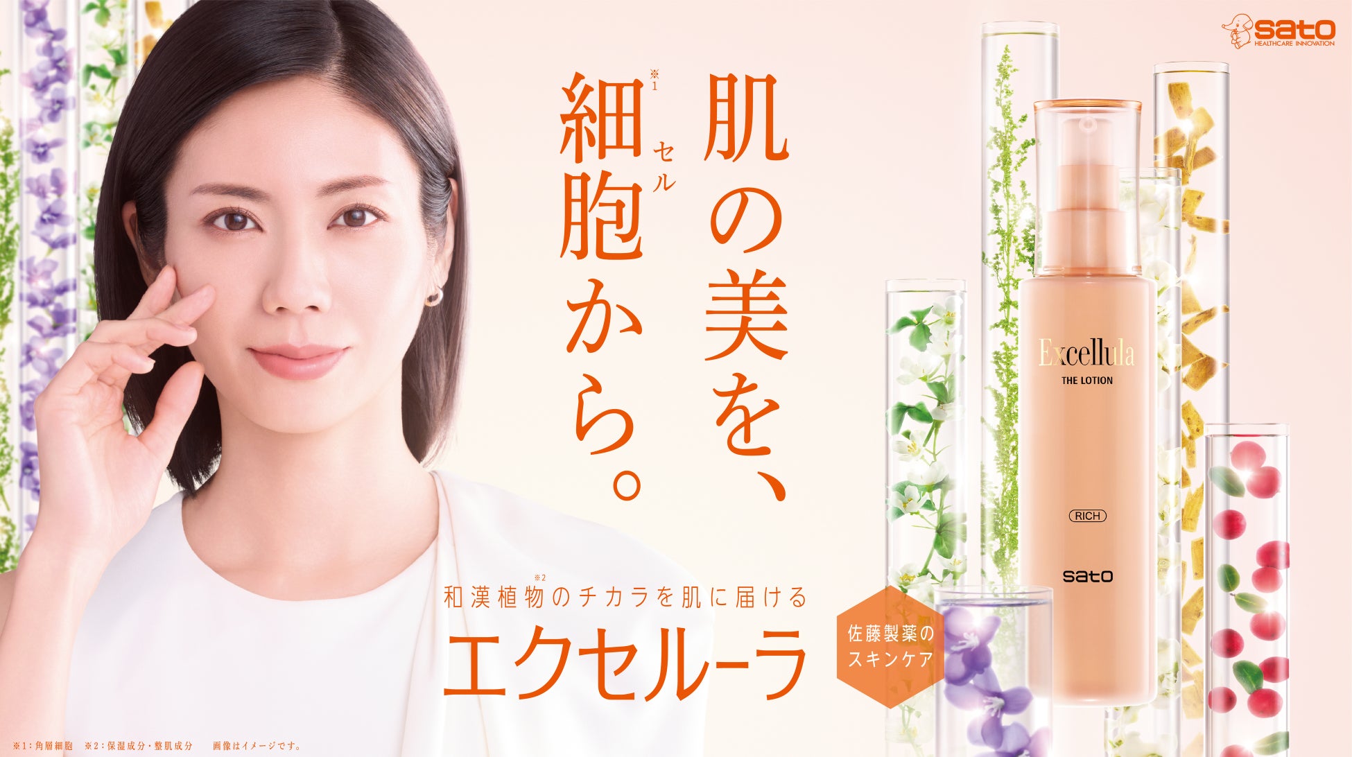 Excellula Visual & Merchandising Evolution　「エクセルーラ ブランド・エボリューション」