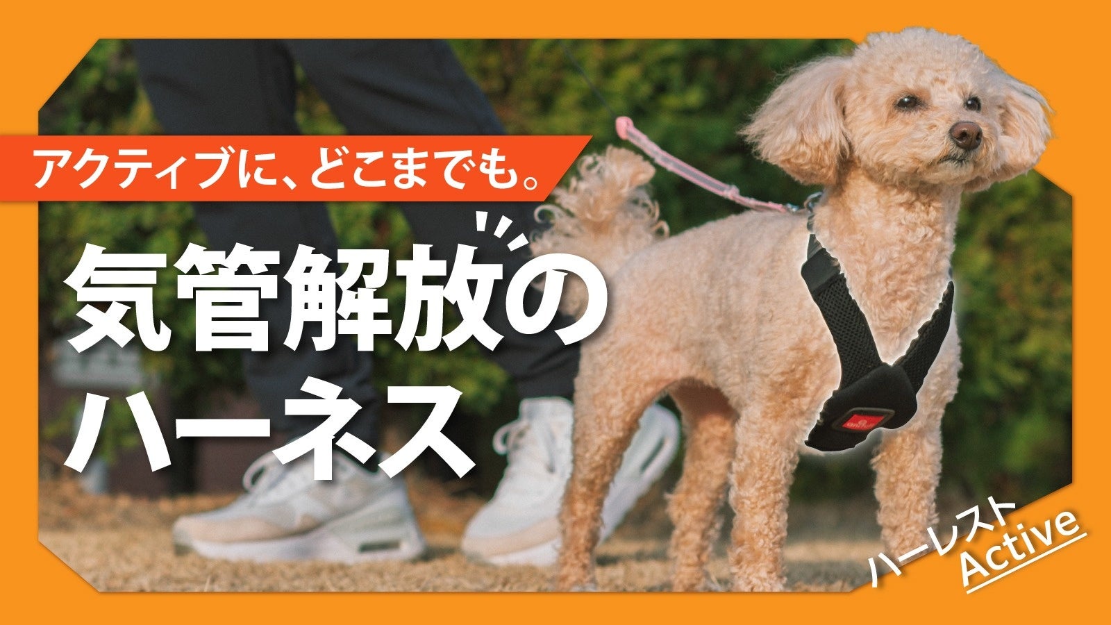 【累計2.6万個突破】”気管にやさしい”を超えた「気管に当たらない」犬用ハーネスの最新作をMakuakeにて先行発売！