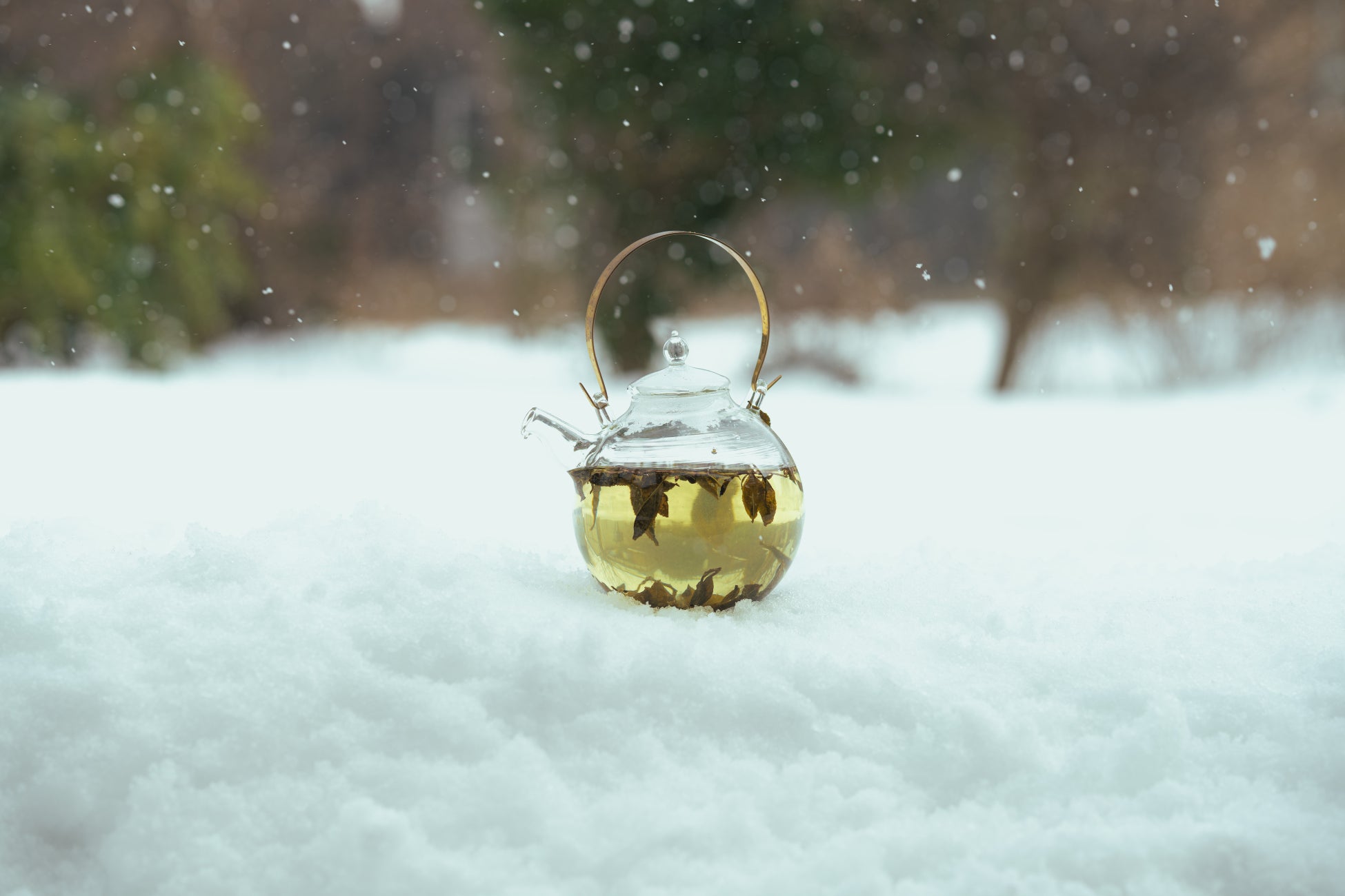 日本最北端の茶処村上在来種と静岡の晩茶研究から生まれた『村上酸茶』。微細水粒子浸透技術が引き出す新しい味わいの乳酸発酵茶をリリースします。