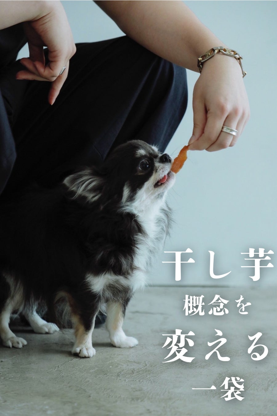 若手CEO・菅原諒平率いる KG Holdings がグループ経営体制へ移行