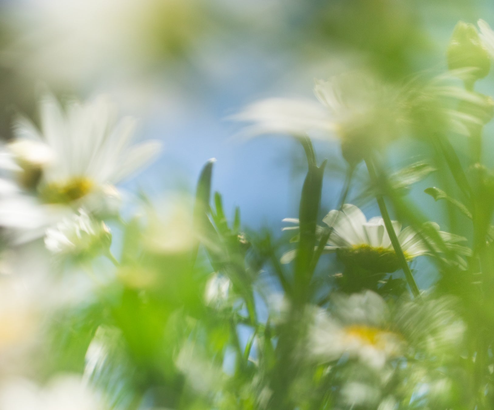 サステナブルなライフスタイルを目指すPOPUPイベント【Well Green Lab】第11弾が3月5日(木)~3月18日(水)にラゾーナ川崎プラザで開催決定!