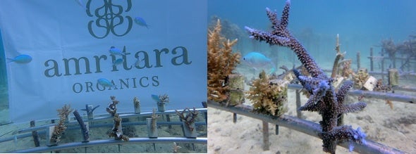 SUIKOのミネラルコスメシリーズから新色2種登場。ルミナイザー&マルチカラーが2026年3月5日発売