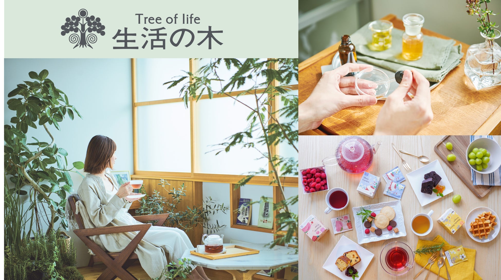 自然と共生する新店舗が誕生。名古屋・星が丘に「生活の木 星が丘テラス店」が3月15日オープン。