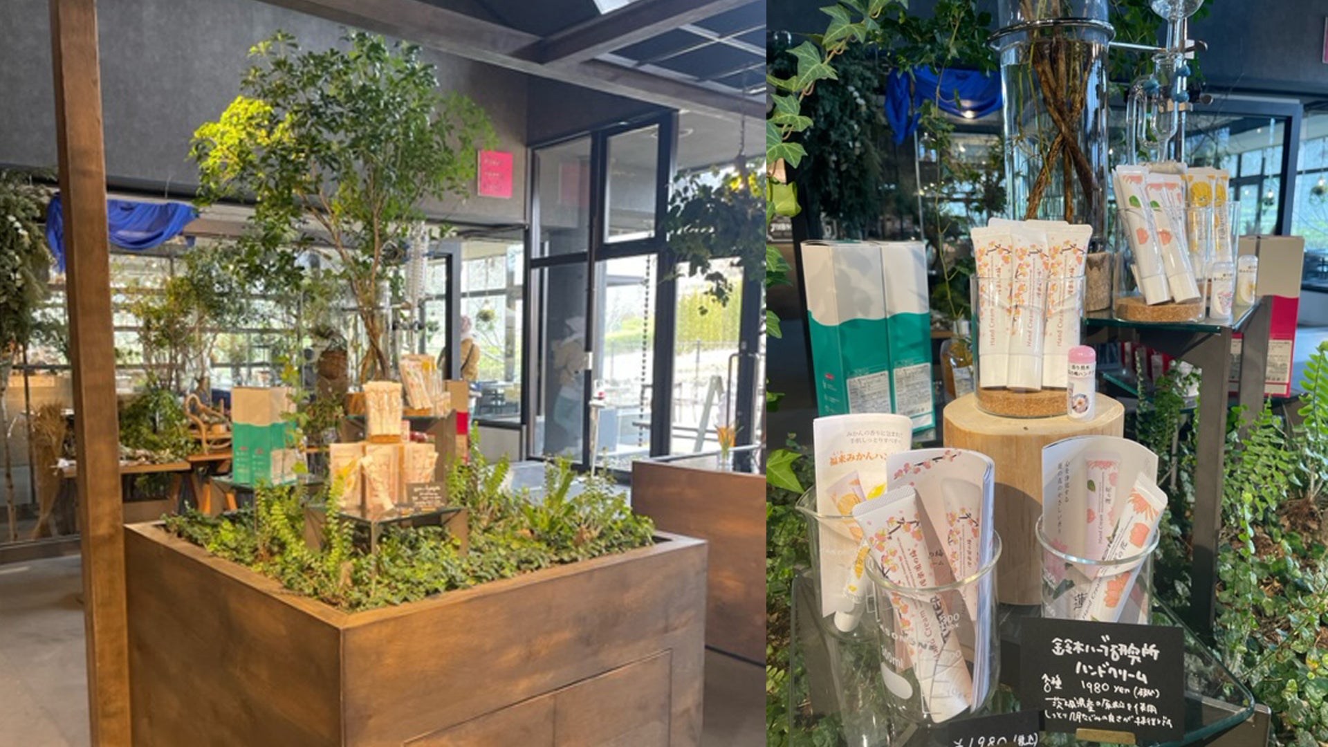 いばらきフラワーパークで新規取り扱いを2/14から開始　茨城特産品の香りが楽しめる3種類のハンドクリーム