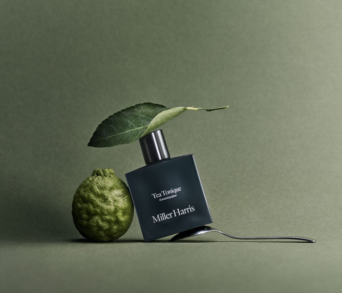 【DAMDAM】肌と指先に、春の光を纏う。manucuristとのコラボレーション限定セット「Spring Ritual Collection」2026年3月20日（金）発売