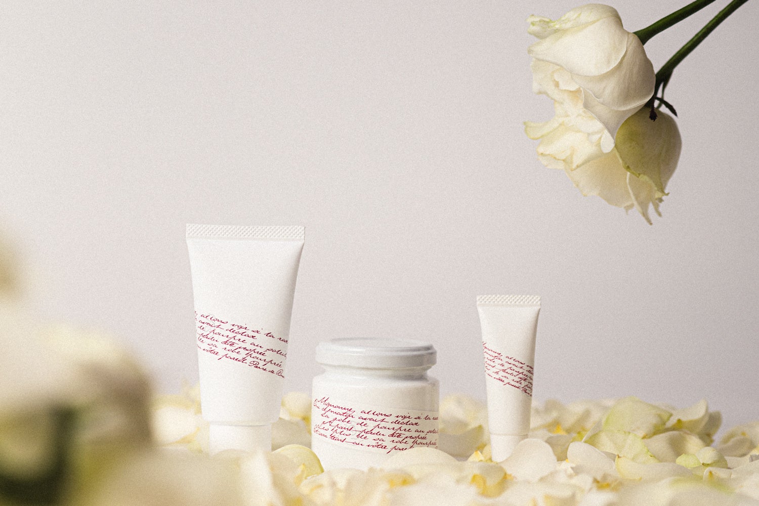 「グルテンフリー」と腸活の新しい考え方