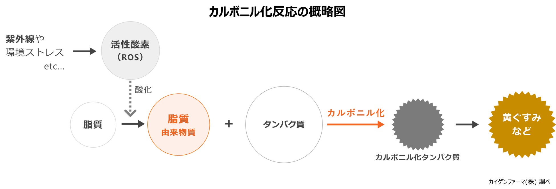 【新発売】『オルビスユーシリーズ』から、“ファンデの毛穴落ち”に着目したうるおいたっぷり美容液設計の化粧下地が登場　2026 年３月20 日（金）新発売『オルビスユー ポアレス キープ プライマー』