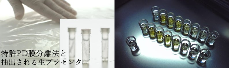 スキンケアに欠かせない美容成分、”完全非加熱生プラセンタ”の細胞機能への寄与が期待される成分の特定に成功。「プラセンタカイン」と命名。