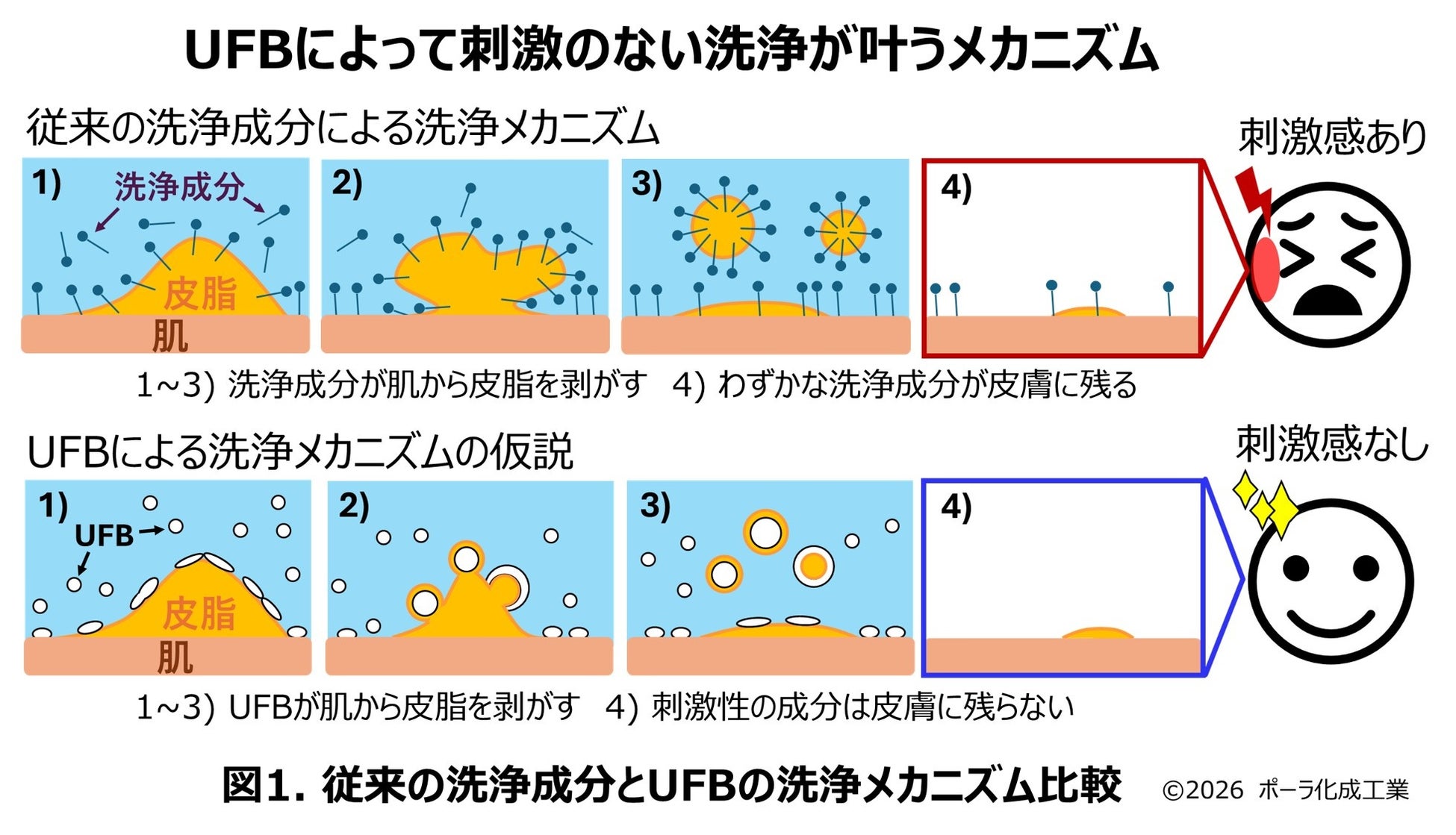 ポーラ化成工業・小林研究員、ウルトラファインバブルを化粧品に応用した論文で国際学術賞IFSCC Magazine 「Henry Maso Award」に決定