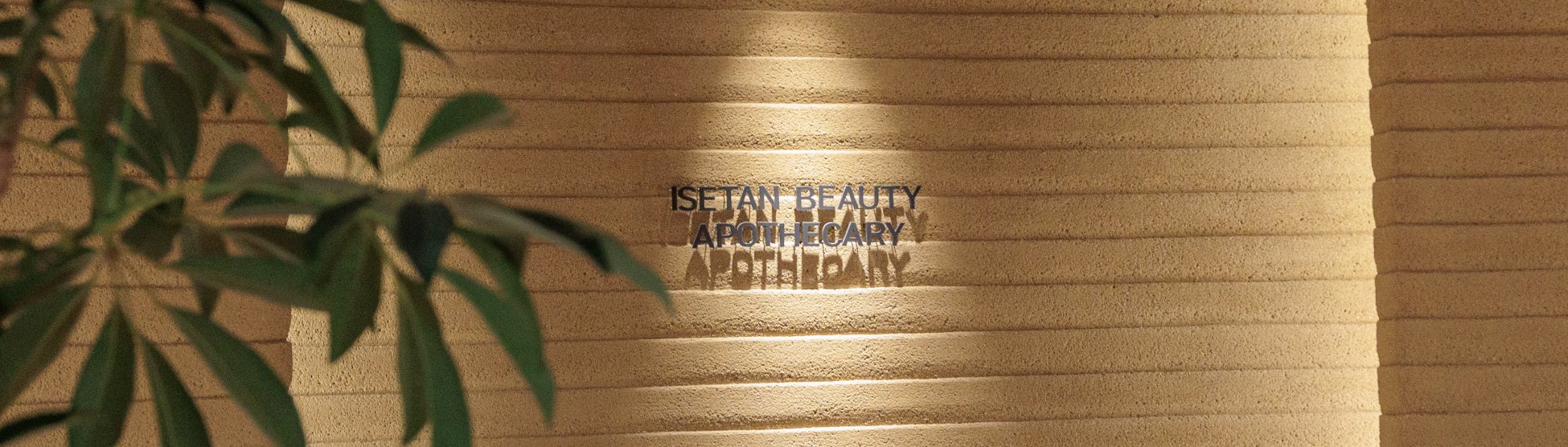 【創業58年の下着メーカーが挑戦】介護・医療現場の腰痛悩みを“下着”で解決。独自のパターン技術から生まれた「アシストインナー」がクラウドファンディングで目標達成！