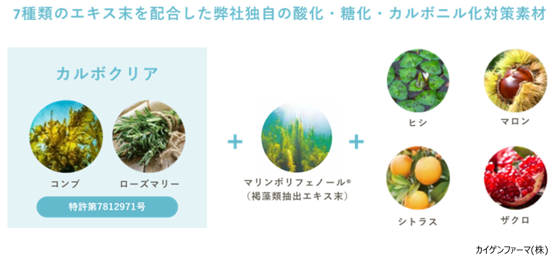 【黄ぐすみ研究で2つの成果】自社素材「カルボクリア™」が特許取得、学会にて効果を発表