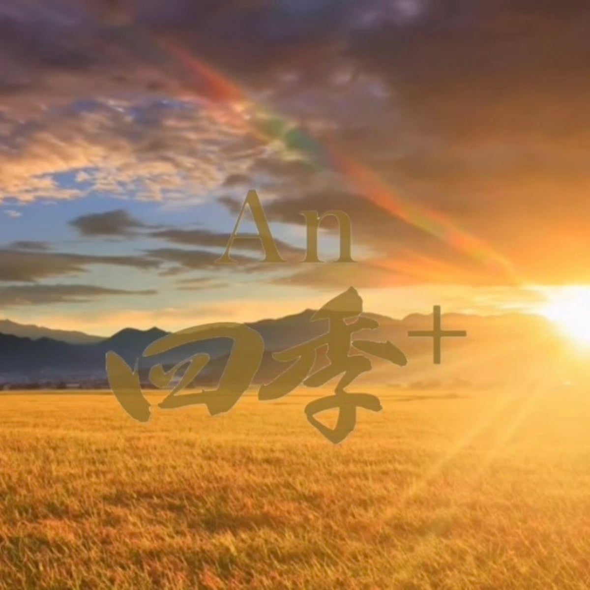 年間3,000本限定。全国唯一※日本古来圧搾法による「AFコメ発酵液」配合、ウェルエイジング発想の導入美容液『An四季+』誕生