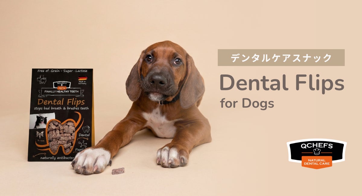 「龍が如く」シリーズ最新作より、桐生一馬・峯義孝の限定フレグランスが登場。ドン・キホーテにて4月4日(土)より限定発売!