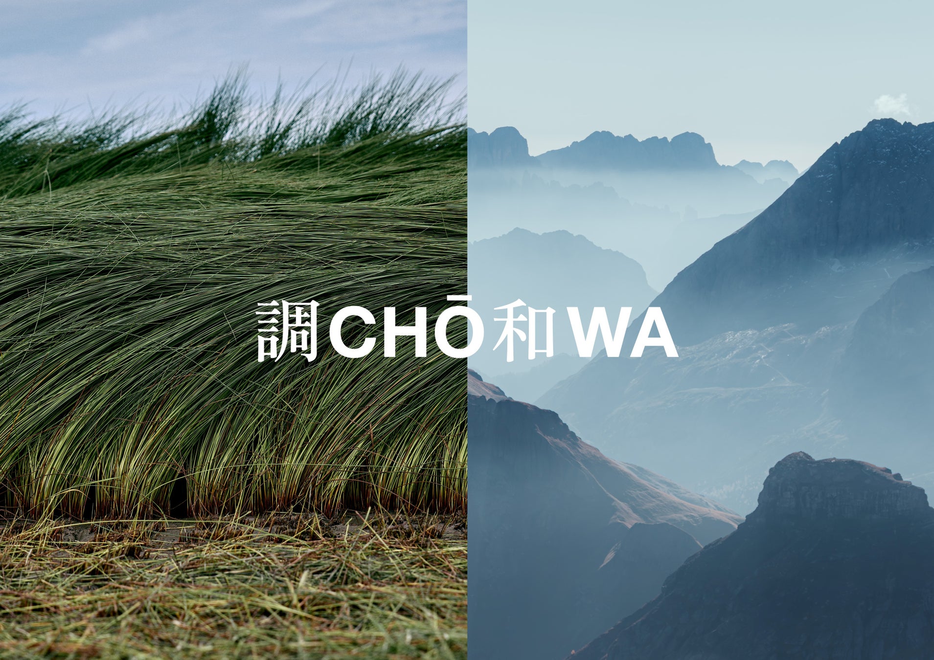 欧州2社と協働し、い草の新たな価値を発信「Look into Nature」フォーリサローネ2026出展