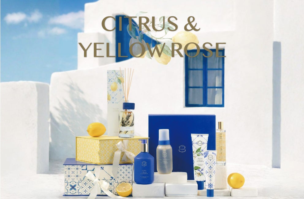 【LDK the Beauty A評価】“毛先までサラッとしなやか”な仕上がりと“上品な香り”の満足度が高評価