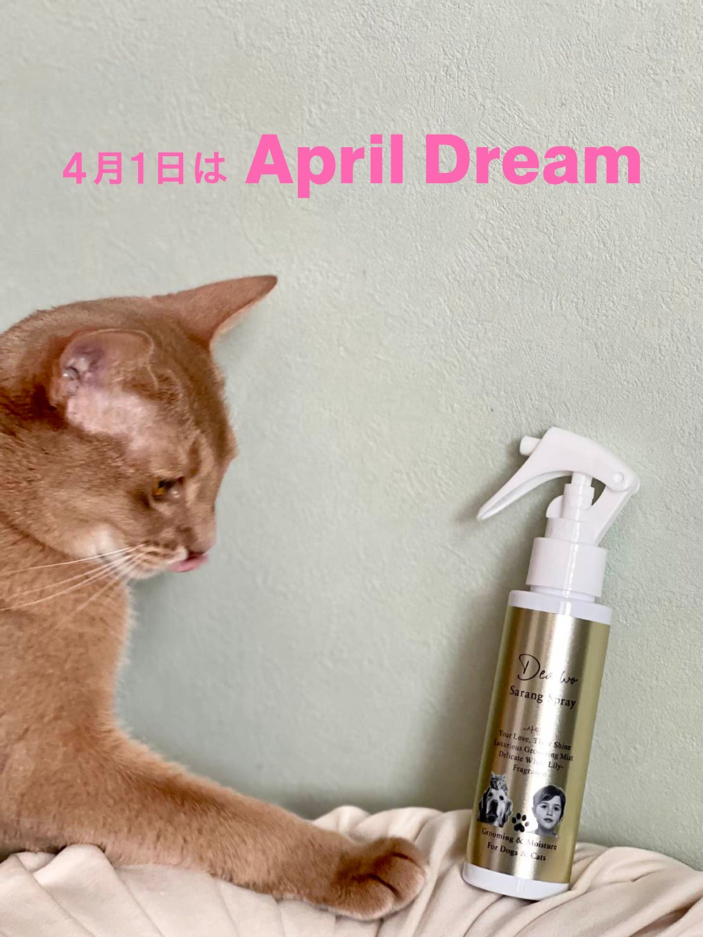 立つ・歩く・座るが整うと、人は動き出す。その一歩を、春喜が支えます。