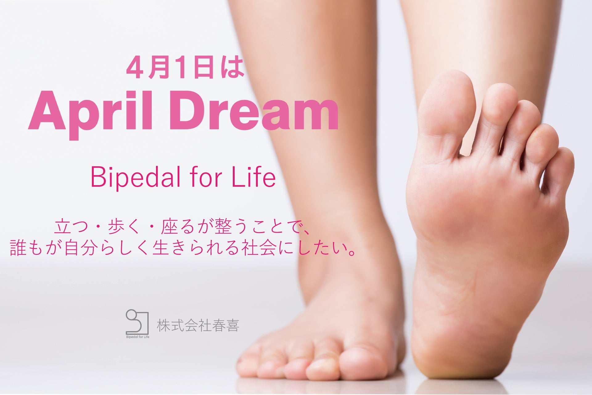 未病の段階からの疾患早期発見で動物の健康寿命を延ばす！#April Dream
