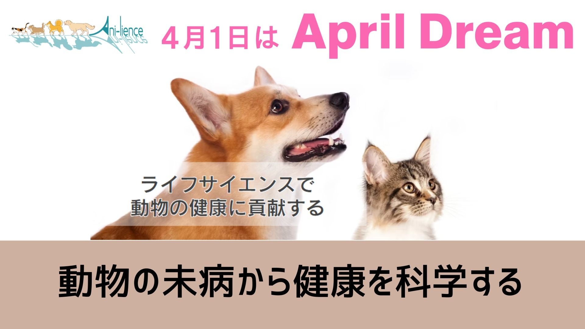 未病の段階からの疾患早期発見で動物の健康寿命を延ばす！#April Dream