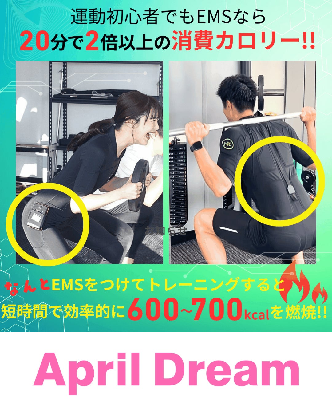 木更津市から“肥満ゼロ”へ。誰でも痩せられる街をつくる。