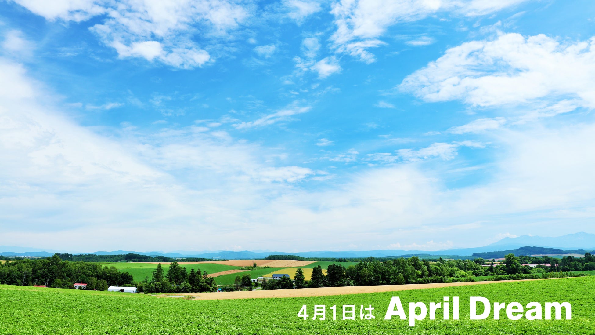 世界へ、美しさの可能性を。