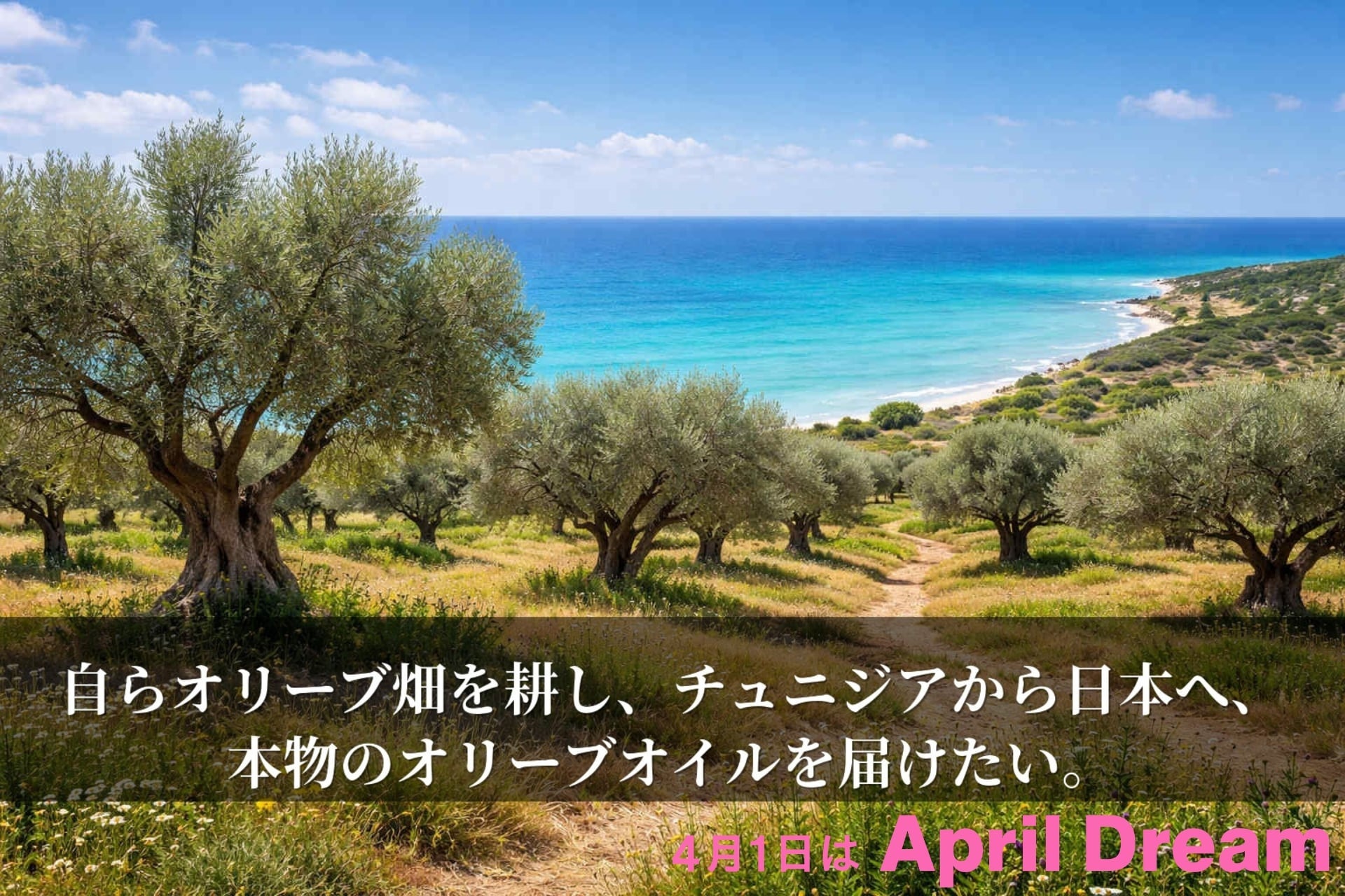 有限会社フロル（LuLu-FLOR）の夢。チュニジアの畑から、本物のオリーブオイルを日本へ届けたい