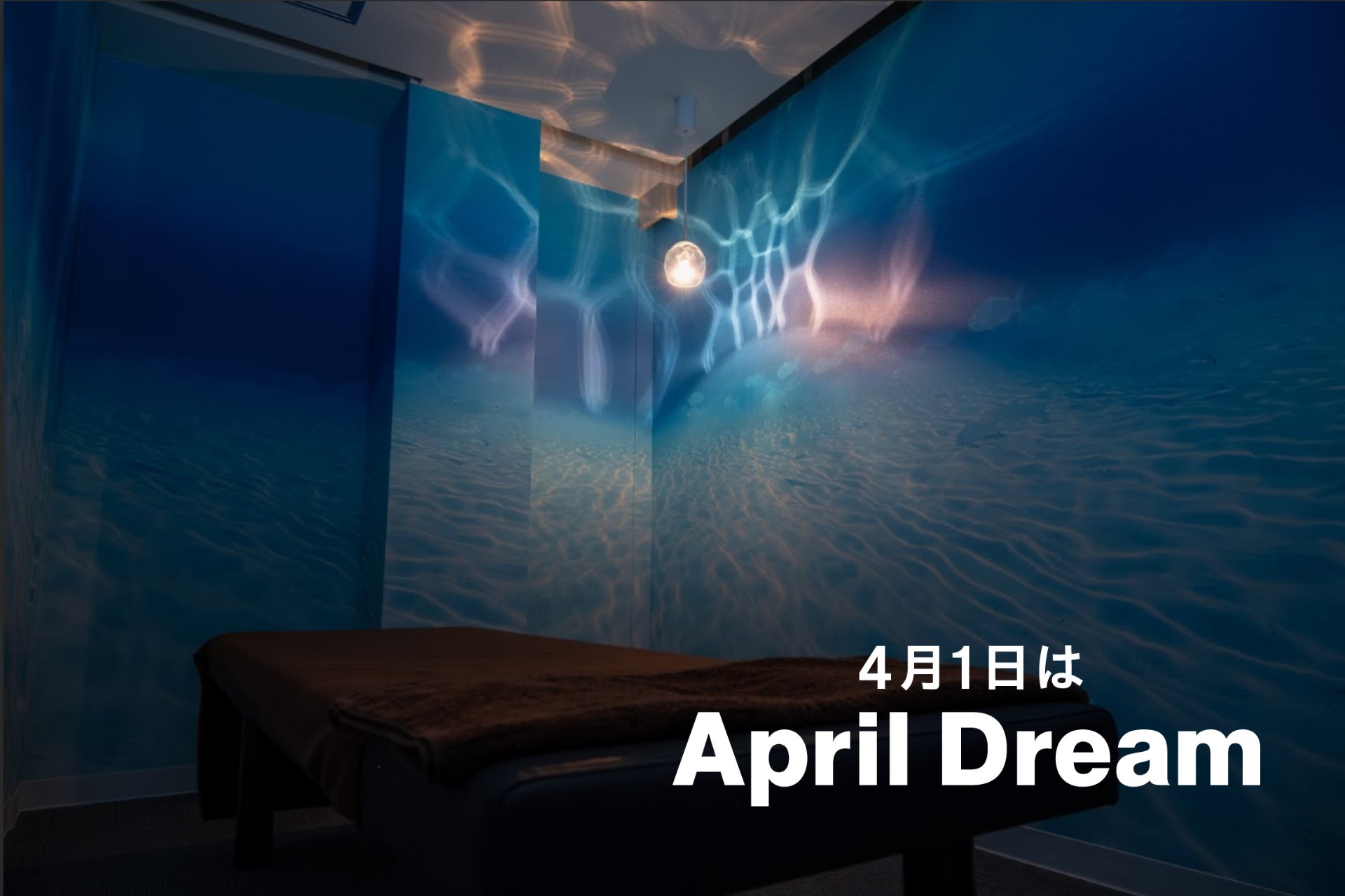 【没入整体が全国へ】わたげのまにまに、フランチャイズ展開をはじめます！