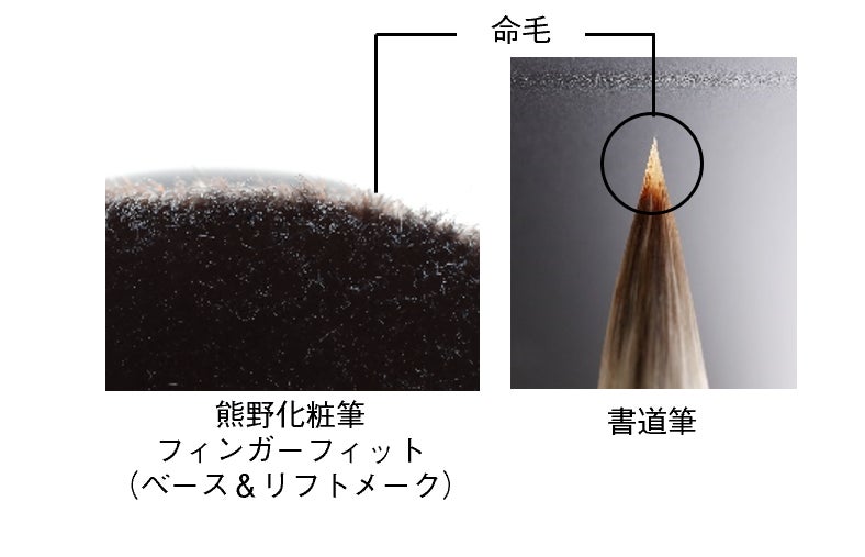 『熊野化粧筆 フィンガーフィット（ベース＆リフトメーク）』8月4日発売