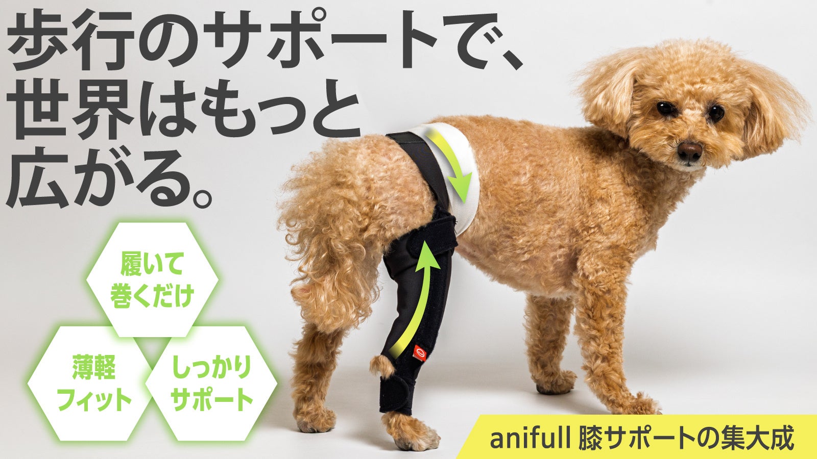 “あれ、歩き方変わった？”と感じる飼い主さまへ。小型犬のための膝サポーター「アニサポ ニーフィット」がMakuakeに登場！