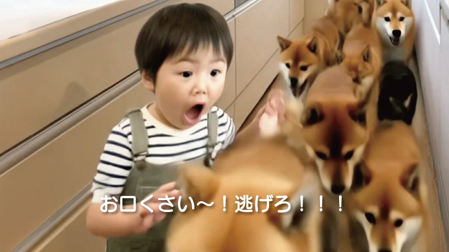 口臭から逃げろ!──啓発MV『食べたなら、歯磨き革命』Vol.2「柴犬編」公開