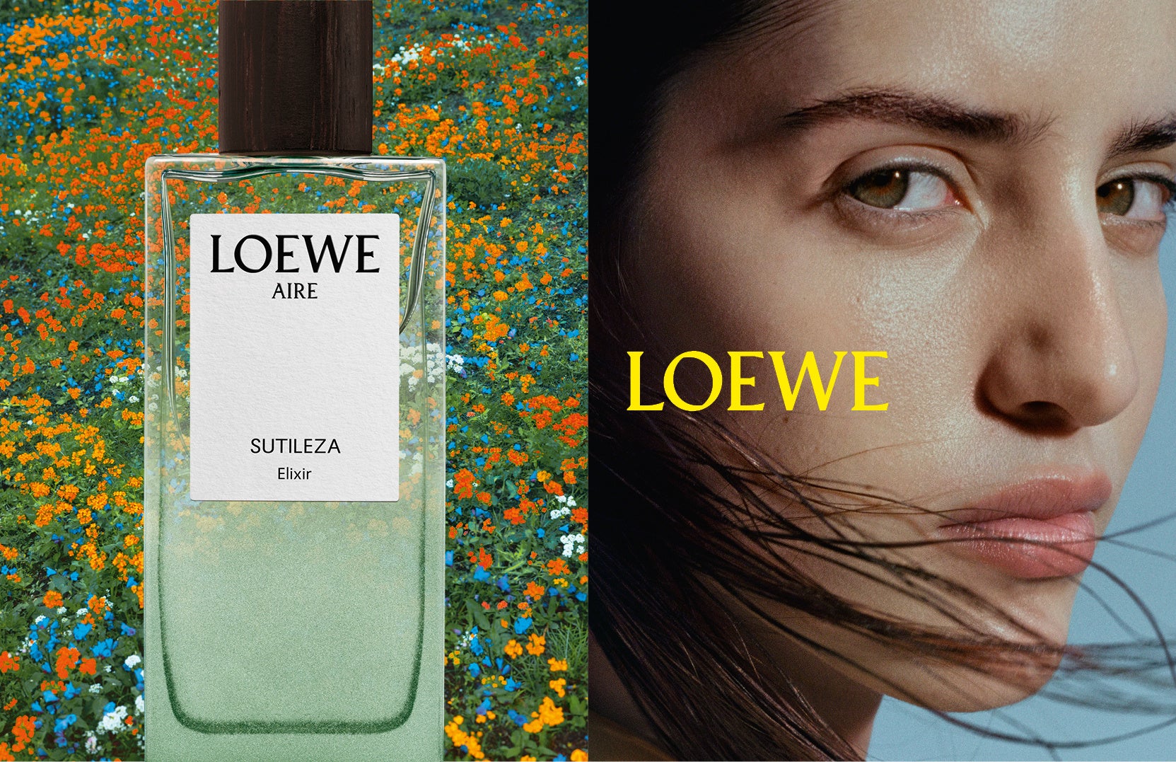 LOEWE Perfumes (ロエベ パルファム) が名古屋に新店舗をオープン日本市場における存在感を拡大