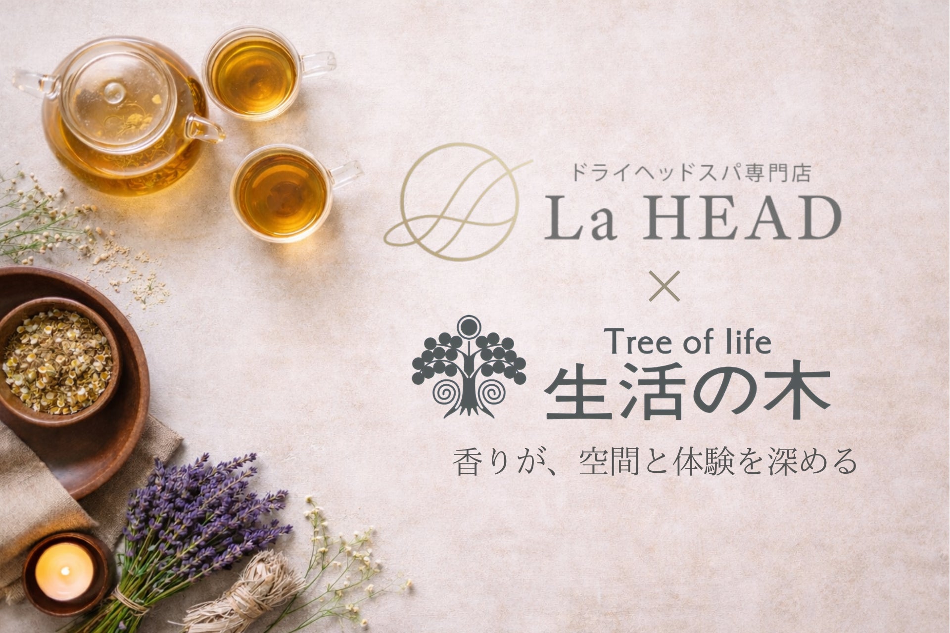 【ツバメの巣ペットブランド】“薬に頼らない未来”を体験する「MIRANEST POP-UP CAFE」が2日間限定オープン！獣医師による健康相談も同時開催