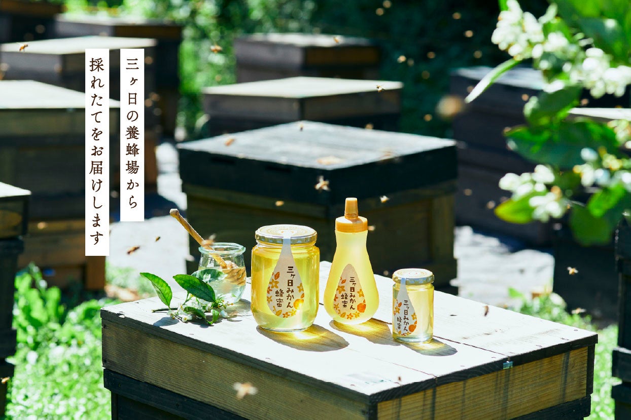 「朝採れ生はちみつ、そのまま瓶へ」長坂養蜂場、鮮度0日！2026年新蜜「三ヶ日みかん蜂蜜」販売へ