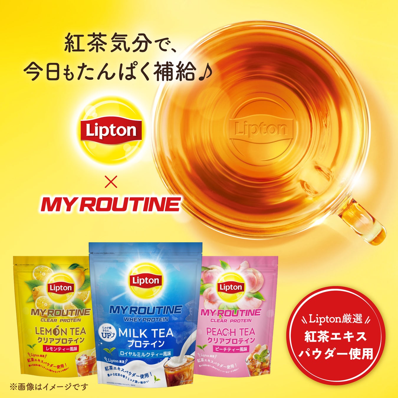 昨年話題の「Lipton」コラボプロテインが今年も登場！「マイルーティーン」より5/24(日)に数量限定発売！！今年は3種の紅茶フレーバー＆限定BOXセットを展開