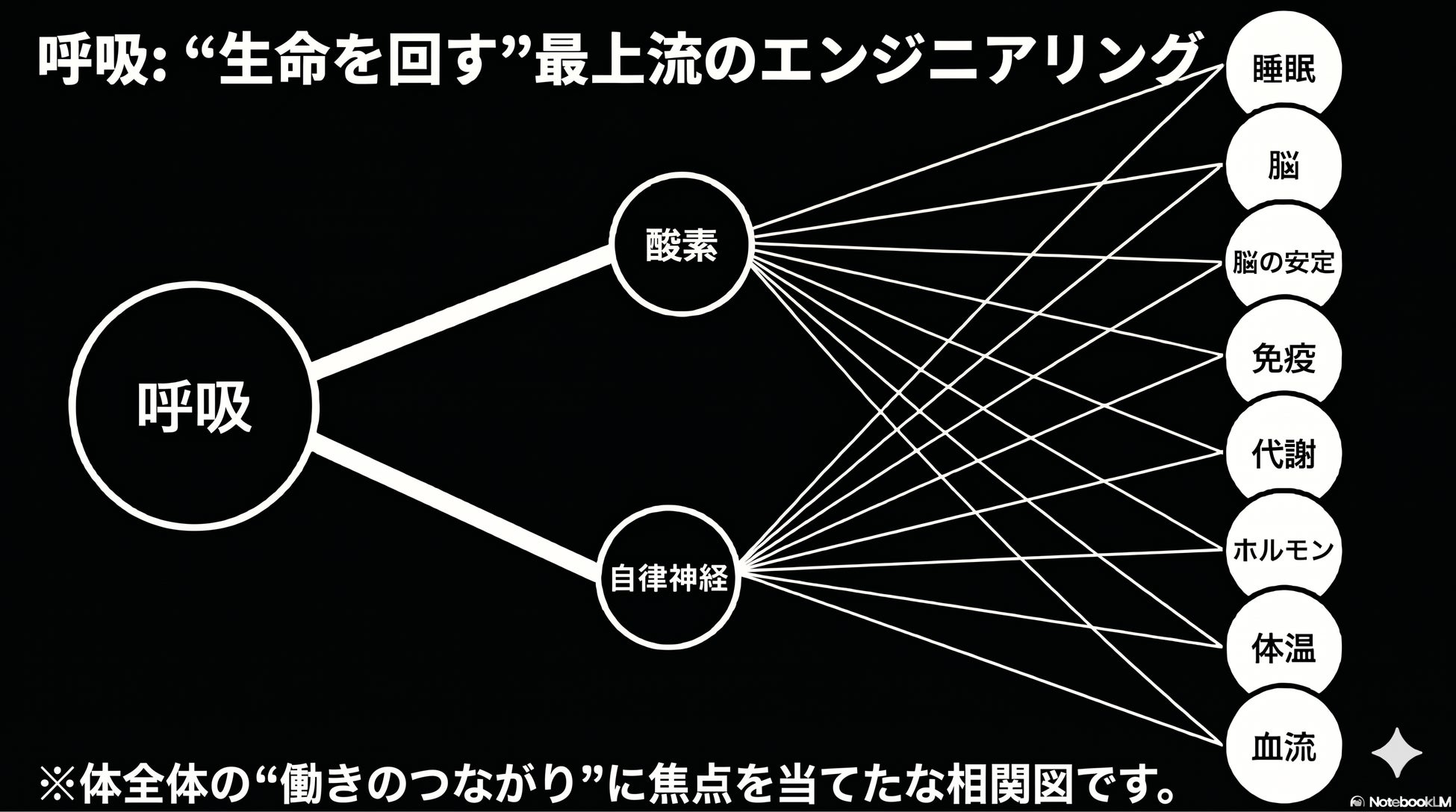 【健保組合向けロコモ対策支援】ミドルシニア・高年齢労働者の身体機能低下に備える。身体機能維持と転倒予防を支援するプログラムを提供開始