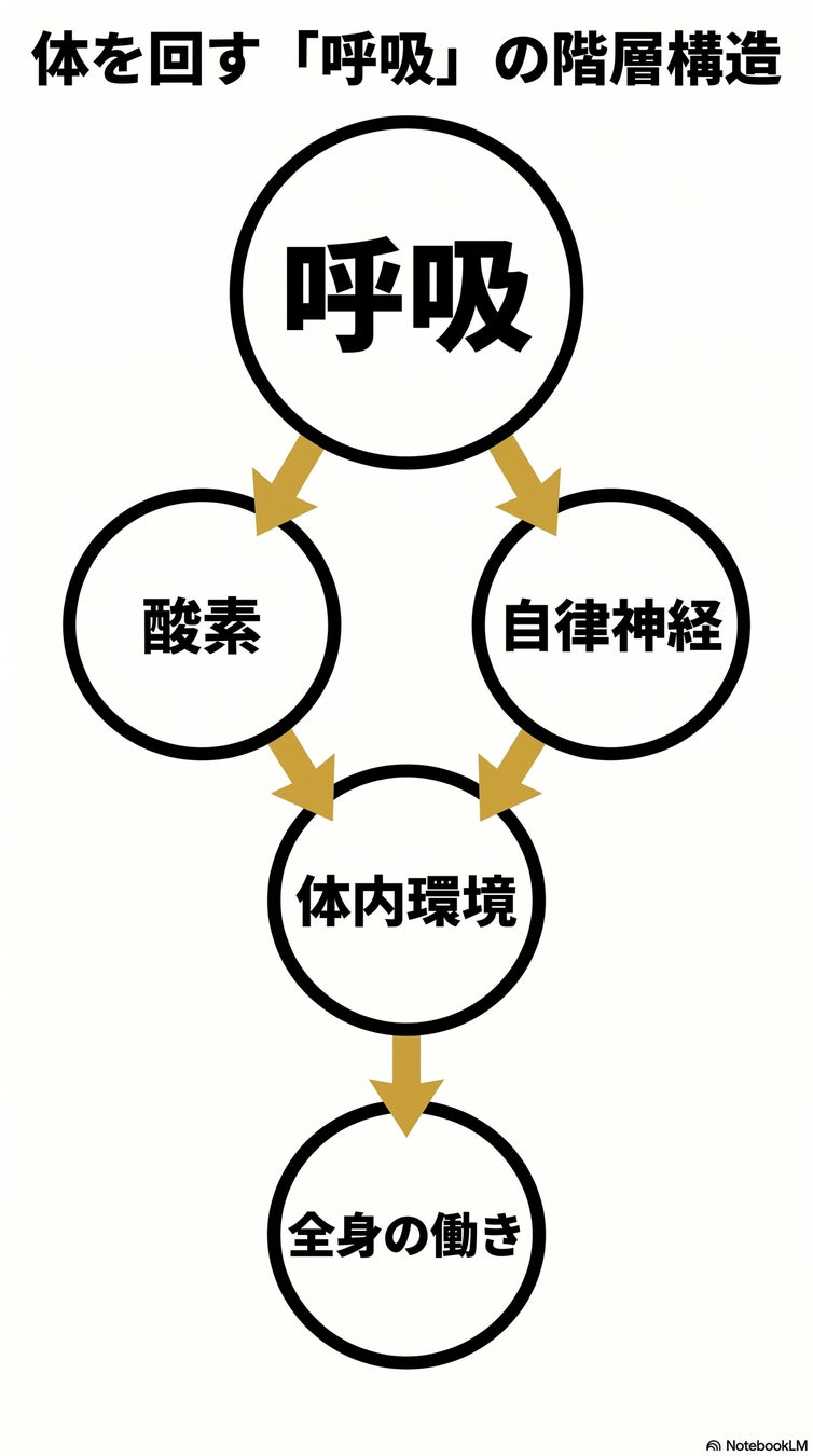“呼吸こそ”・・生命を動かす「エンジン」だ！